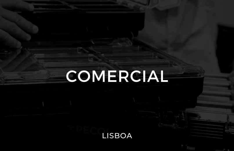 emprego-comercial-lisboa